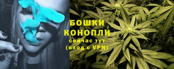 MDMA Premium VHQ Бронницы