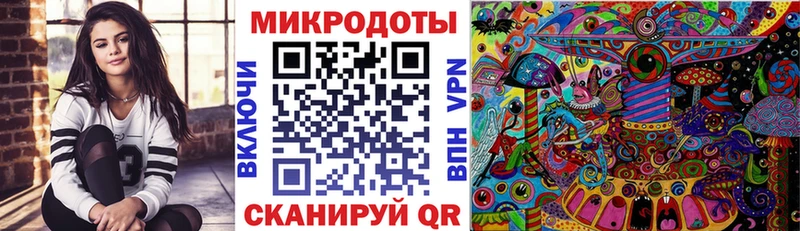 это как зайти  Славгород  Галлюциногенные грибы мухоморы  где можно купить наркотик 